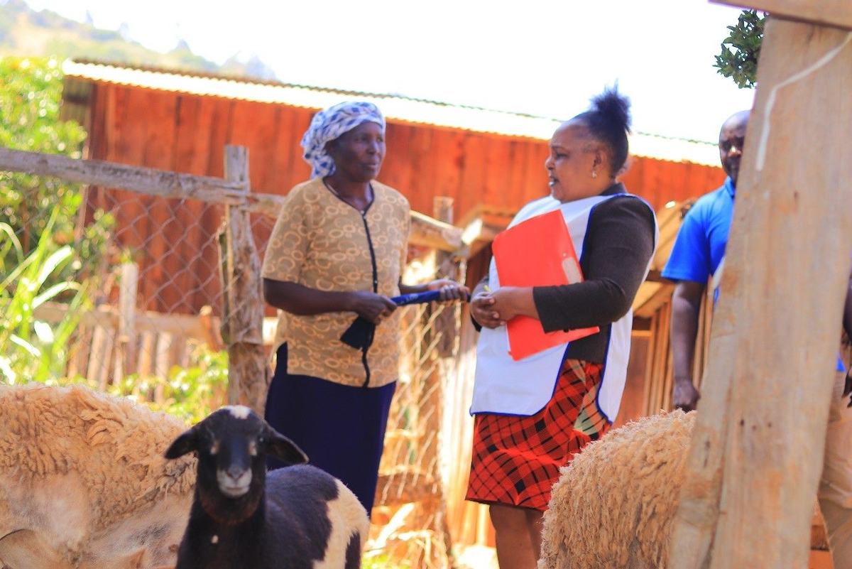 During a home visit, the care team meets a woman tending her sheep.